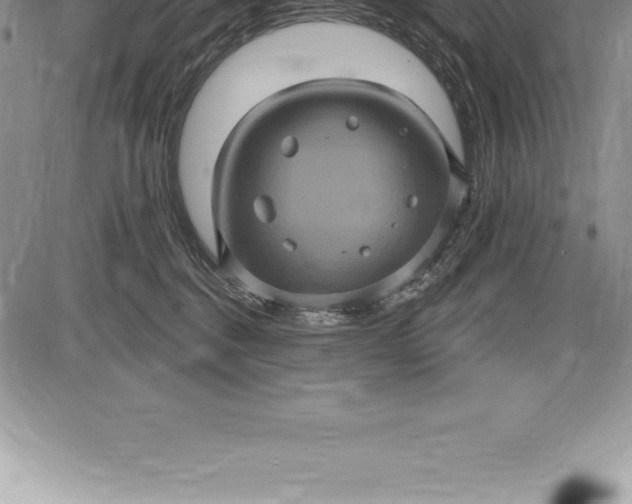 X0000085820376200703301559