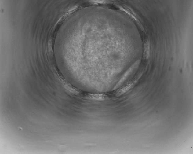 X0000085820377200703301559