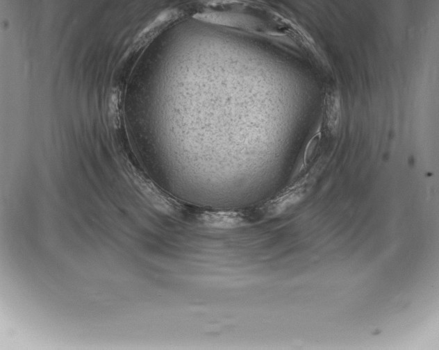 X0000085820378200703301559