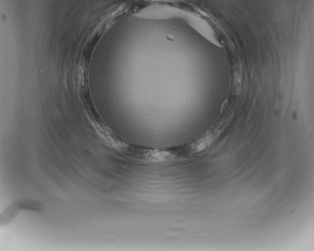 X0000085820379200703301600