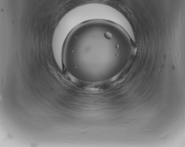 X0000085820380200703301600