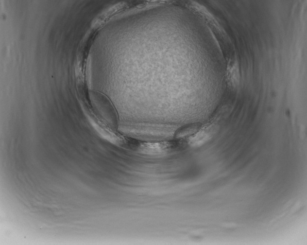 X0000085820381200703301600