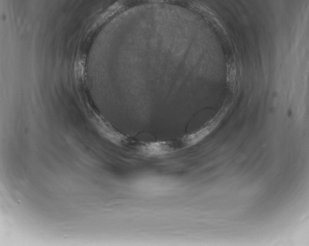 X0000085820382200703301600