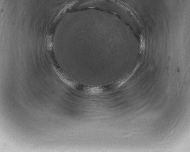 X0000085820383200703301600