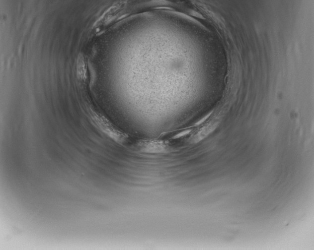 X0000085820384200703301600