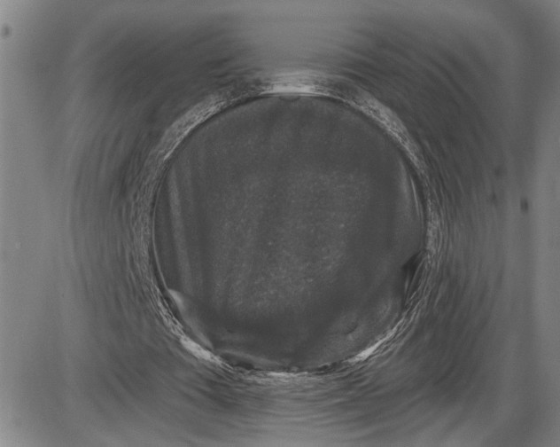 X0000085820385200703301559