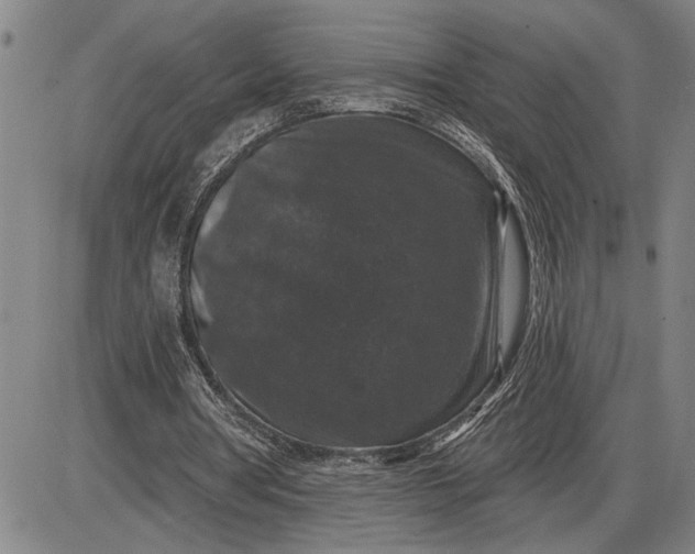 X0000085820386200703301559