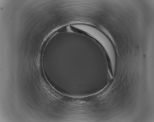 X0000085820387200703301559