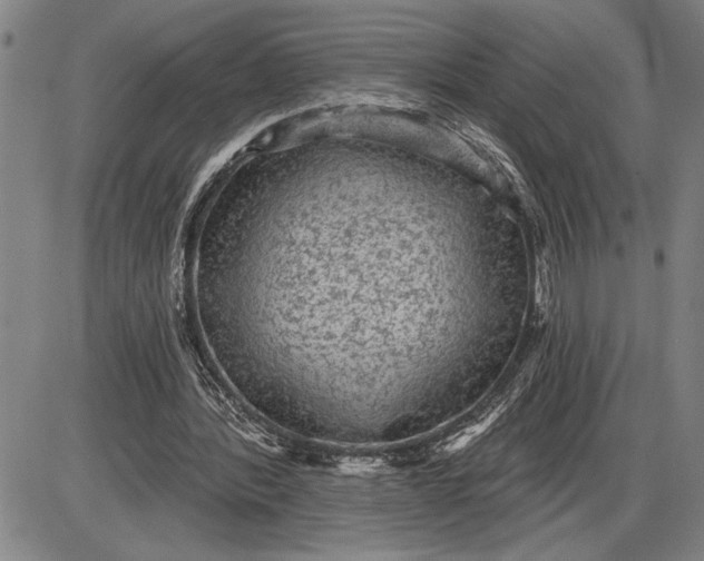 X0000085820388200703301559