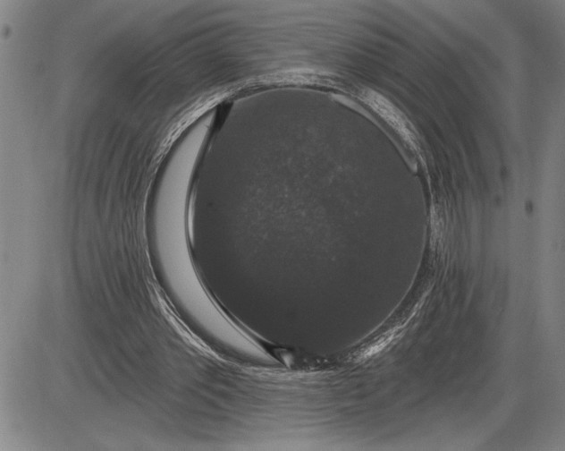 X0000085820389200703301559