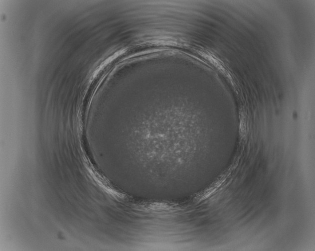 X0000085820390200703301559