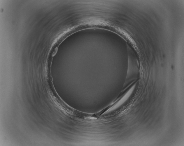 X0000085820391200703301559