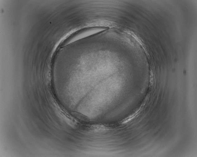 X0000085820392200703301559