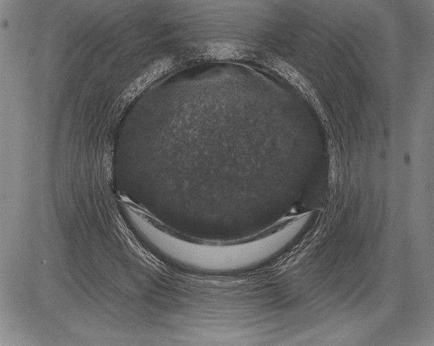 X0000085820393200703301559