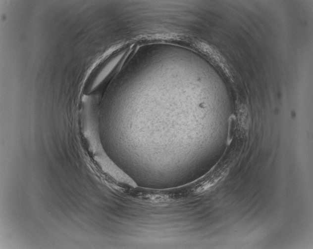 X0000085820395200703301559