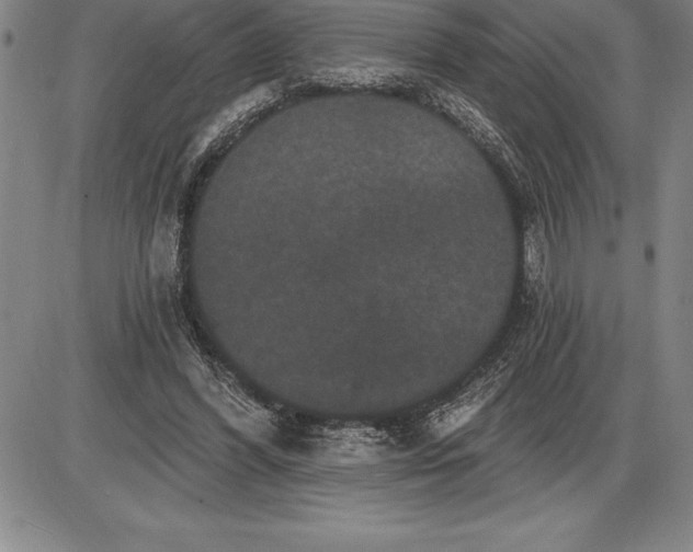 X0000085820396200703301559