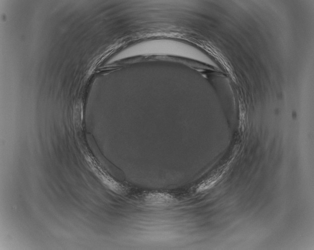 X0000085820397200703301559