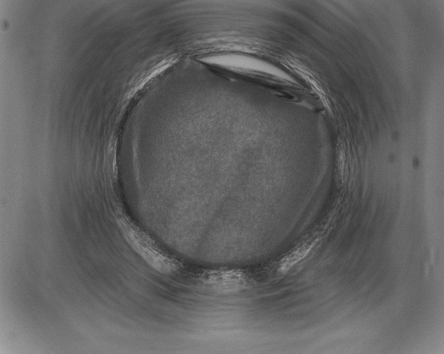 X0000085820398200703301559