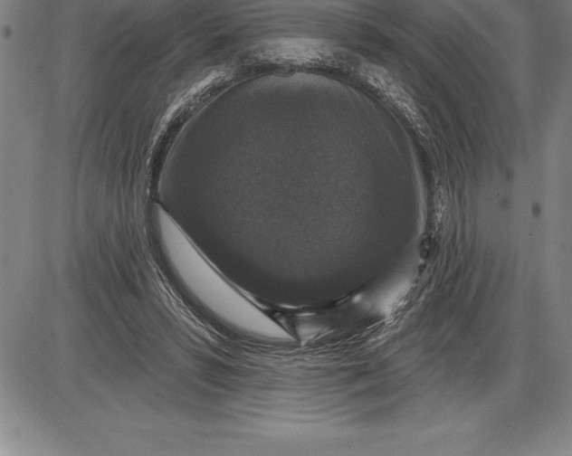 X0000085820399200703301559