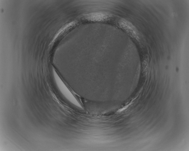 X0000085820400200703301559