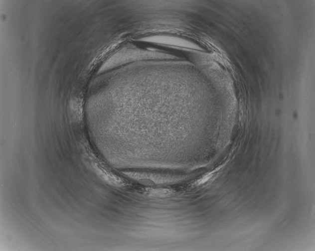 X0000085820401200703301558