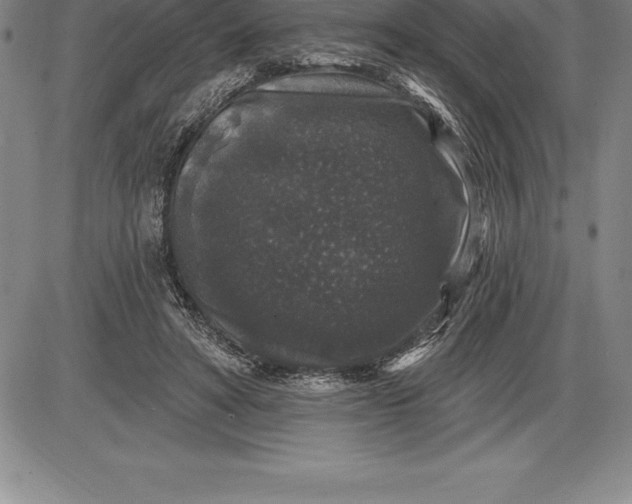 X0000085820402200703301558