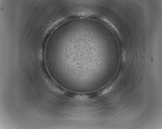 X0000085820403200703301558