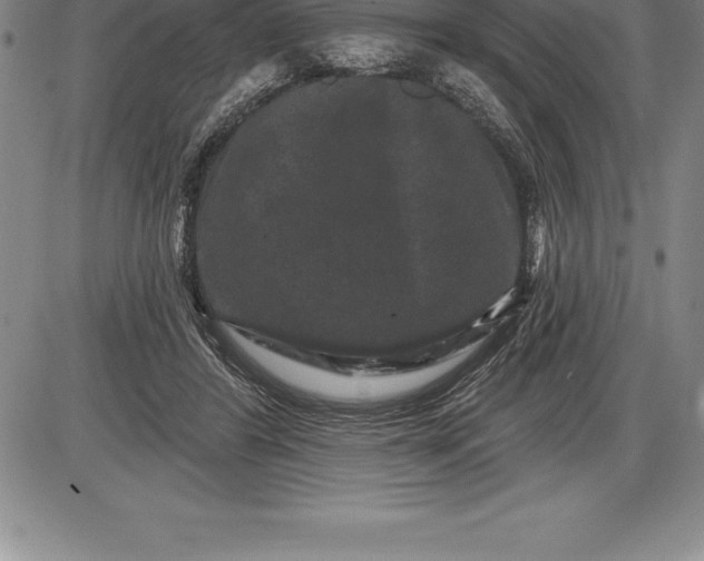 X0000085820404200703301558