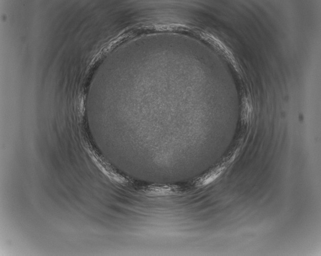 X0000085820405200703301558