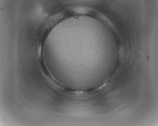 X0000085820406200703301558