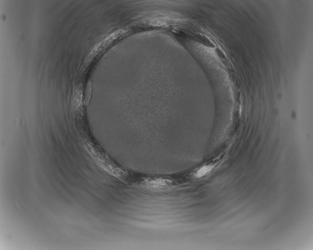 X0000085820407200703301558