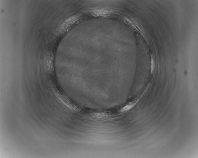 X0000085820408200703301558