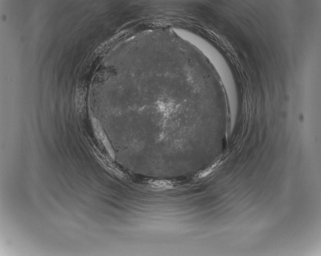 X0000085820409200703301558