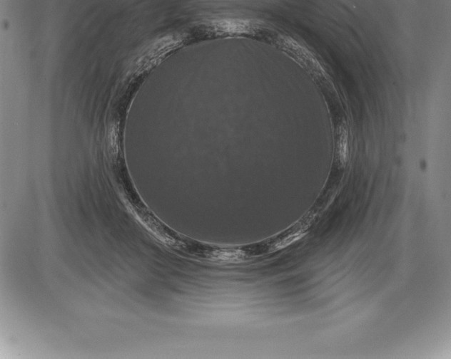 X0000085820410200703301558