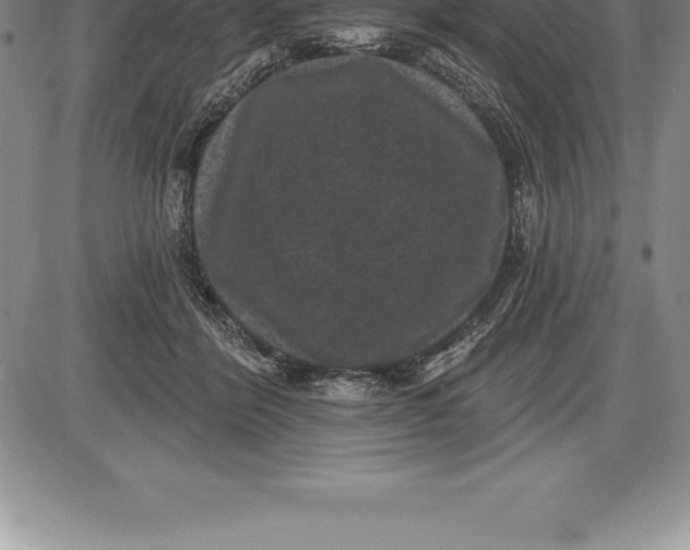 X0000085820412200703301558