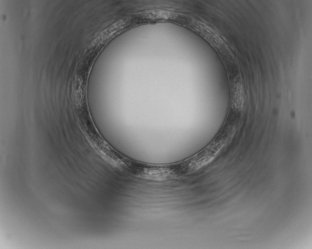 X0000085820414200703301558