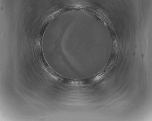 X0000085820415200703301558