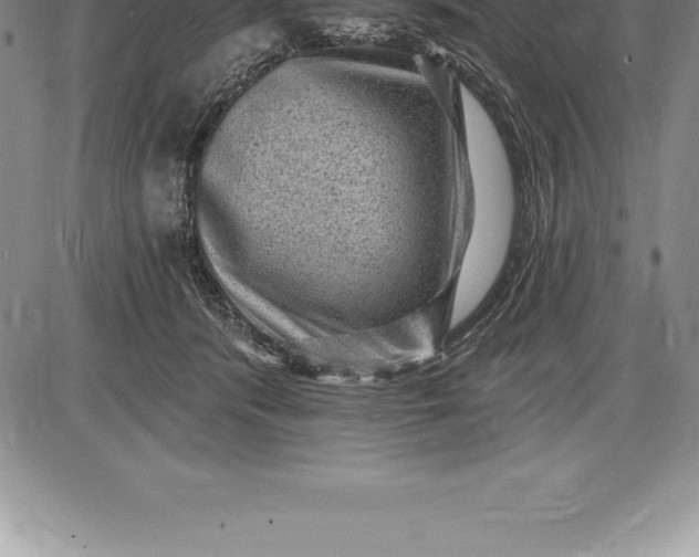 X0000085820416200703301558