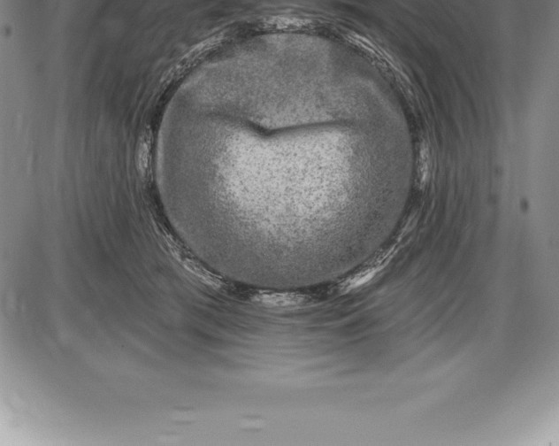 X0000085820417200703301558