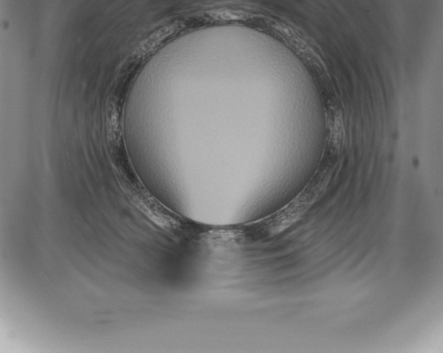 X0000085820418200703301558