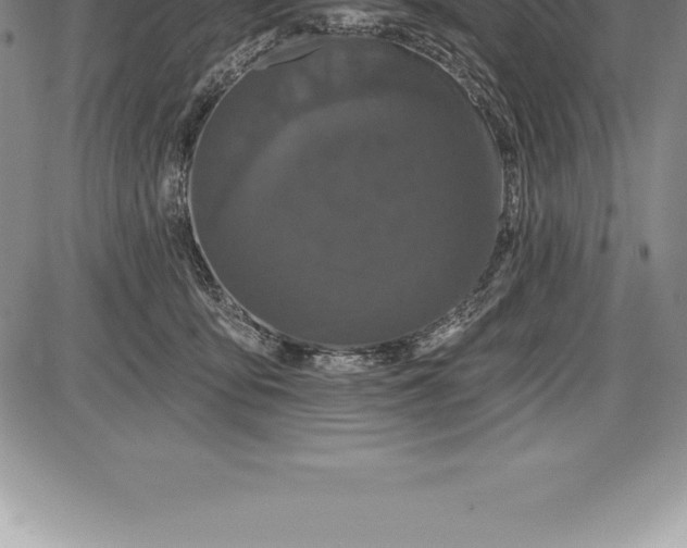 X0000085820419200703301558