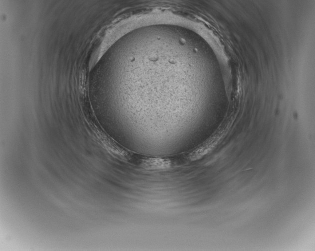 X0000085820421200703301558