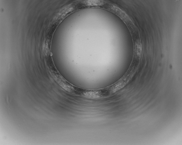 X0000085820422200703301558