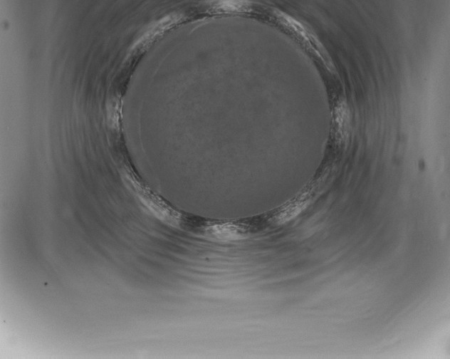 X0000085820423200703301558