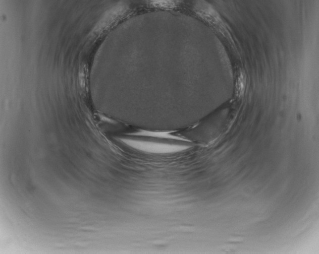 X0000085820424200703301558