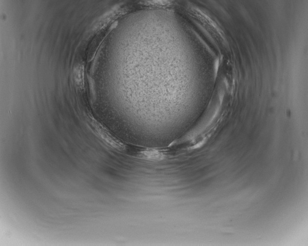 X0000085820425200703301558