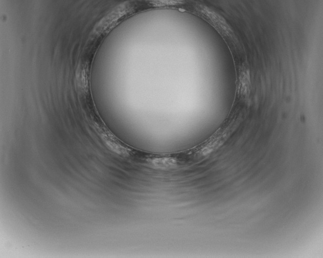 X0000085820426200703301558