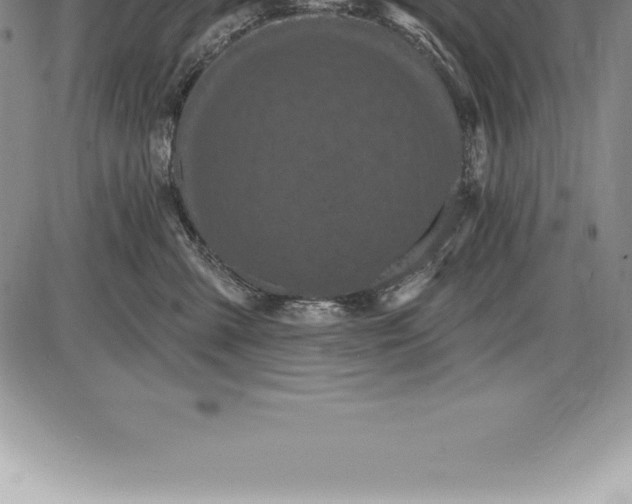 X0000085820427200703301558