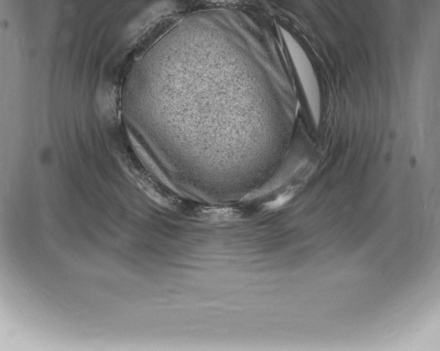 X0000085820428200703301558