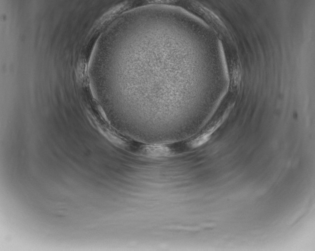 X0000085820429200703301558